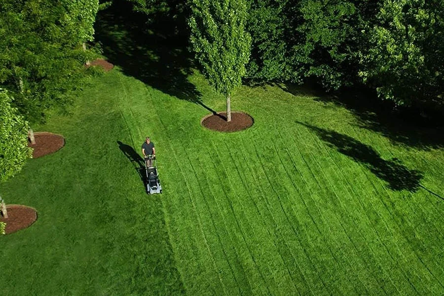 what is the best lawn mower to buy