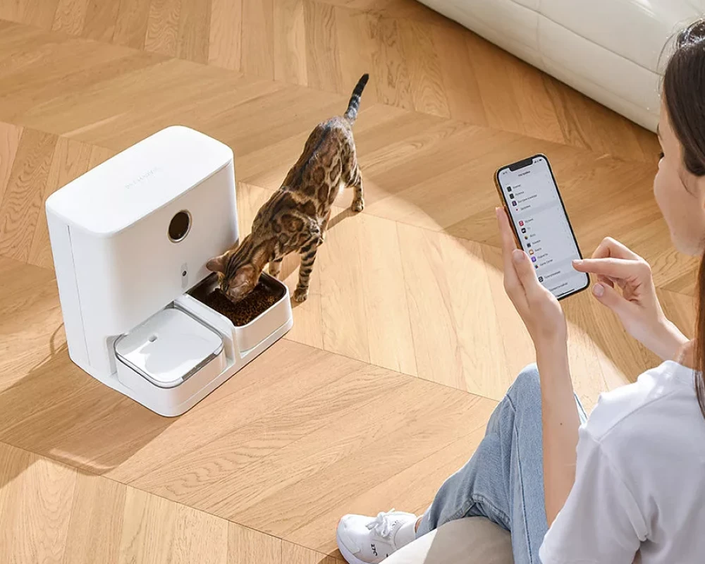 automatic pet bowl feeder